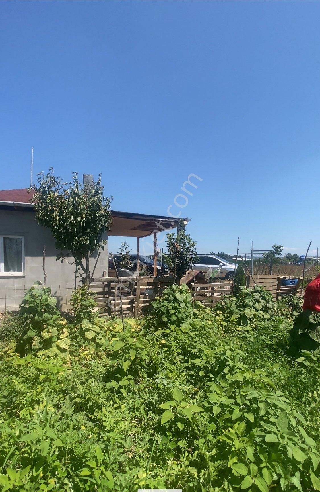 Hobi Bahçesi - Görsel 4