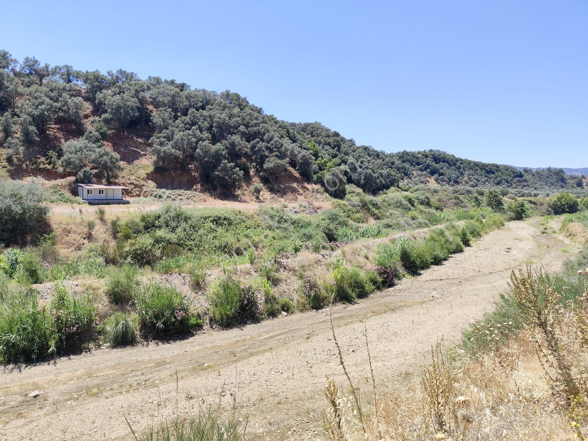 Kupon Zeytinlik Anayola Yakın - Görsel 3