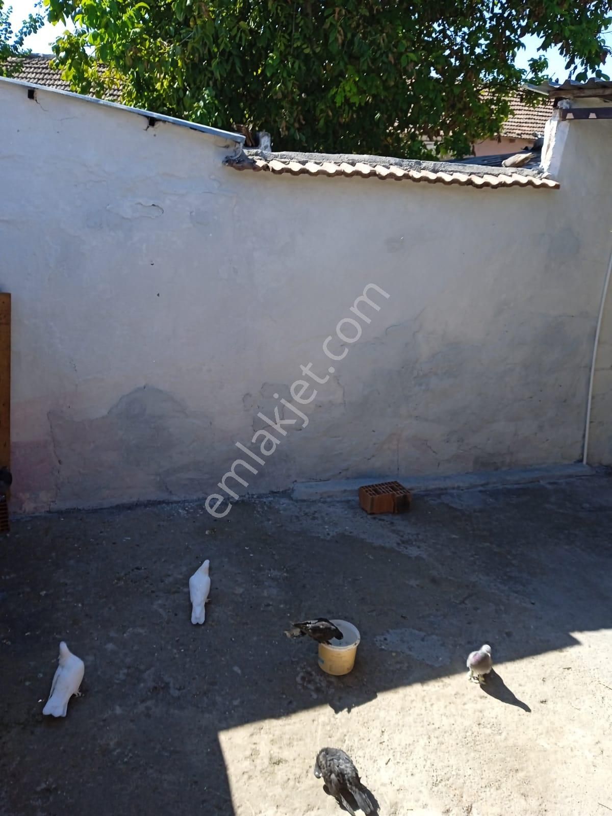 Komutan Emlaktan Aziziyede 227 M2 Müstakil Köy Evi - Görsel 9