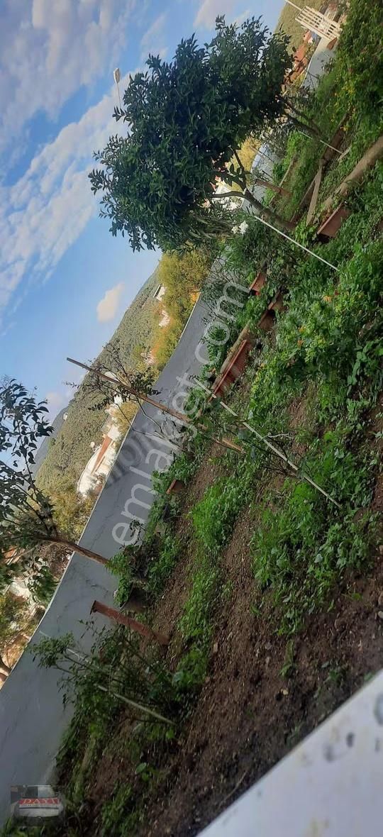 Dayı Emlaktan Kumla Da Deniz Ve Dağ Manzaralı Full Yapılı - Görsel 3