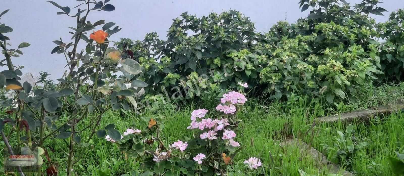 Dayı Emlaktan Kumla Da Deniz Ve Dağ Manzaralı Full Yapılı - Görsel 16