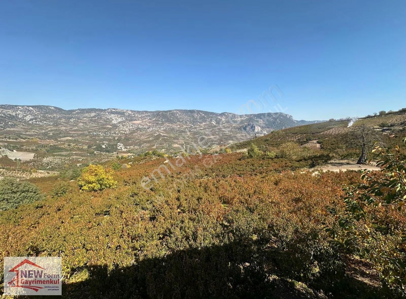 New Form Dan Mezitli Tepeköyde Satılık Nektarin Bahçesi Ve Ev - Görsel 31