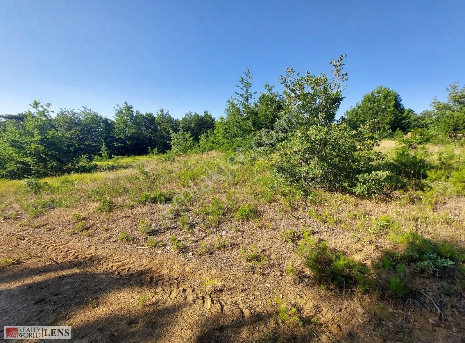 Sakarya Sütalanda 5.373 M2 Tarla Daha Uygunu Yok - Görsel 21