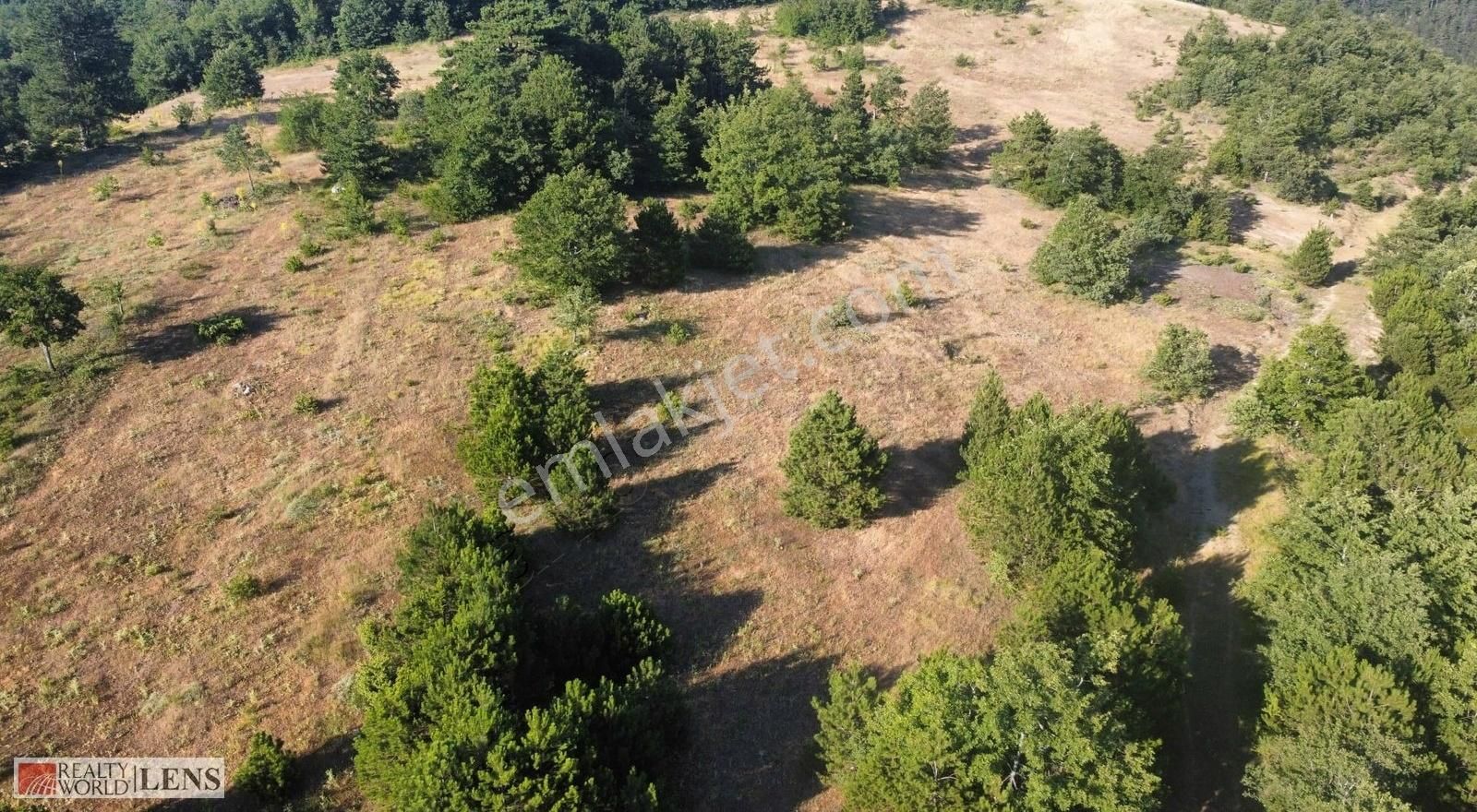 Sakarya Sütalanda 5.373 M2 Tarla Daha Uygunu Yok - Görsel 14