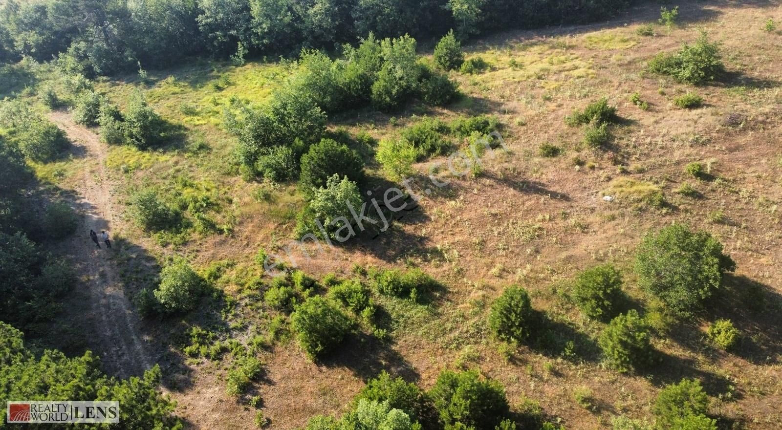 Sakarya Sütalanda 5.373 M2 Tarla Daha Uygunu Yok - Görsel 8