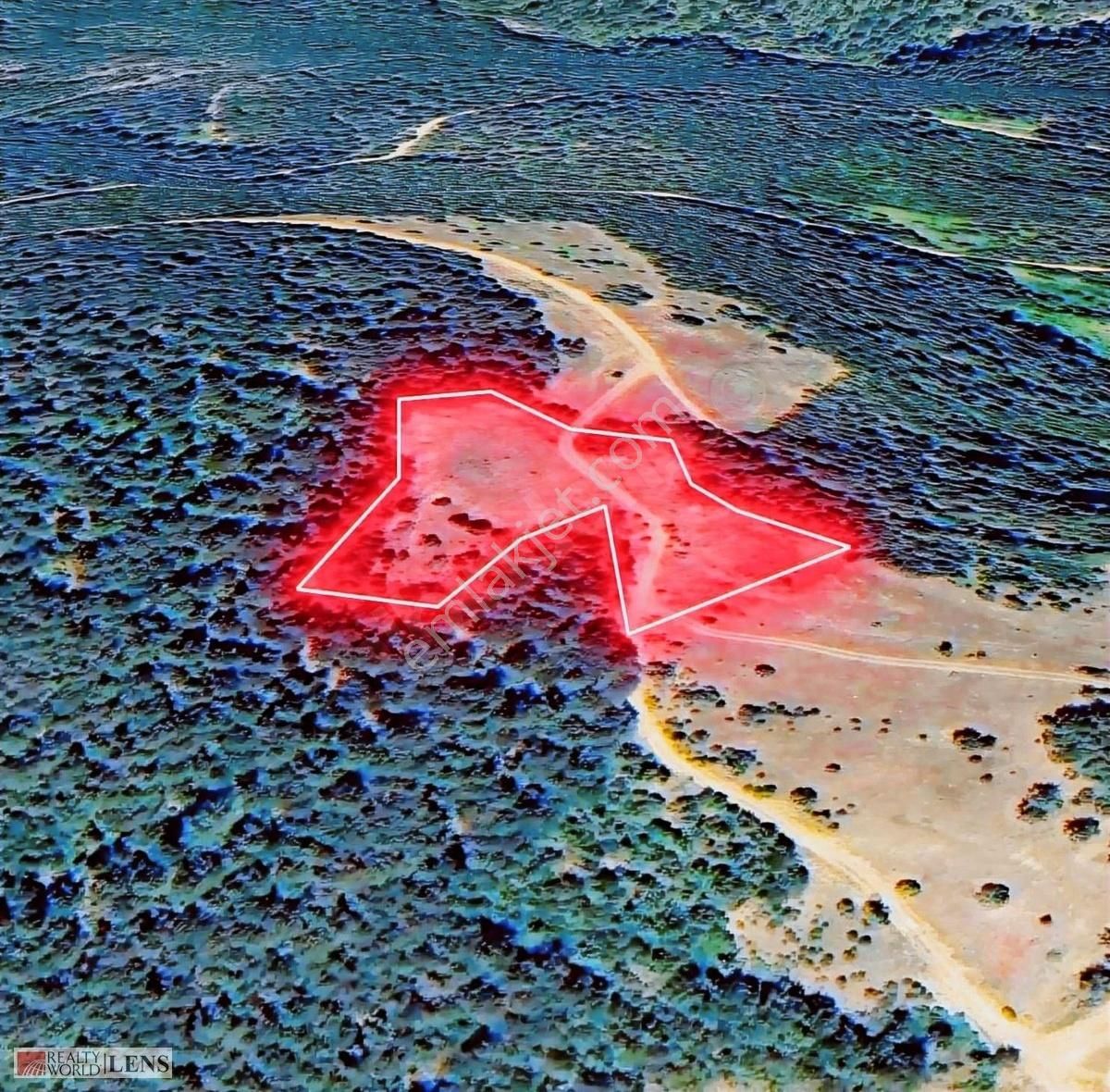 Sakarya Sütalanda 5.373 M2 Tarla Daha Uygunu Yok - Görsel 19
