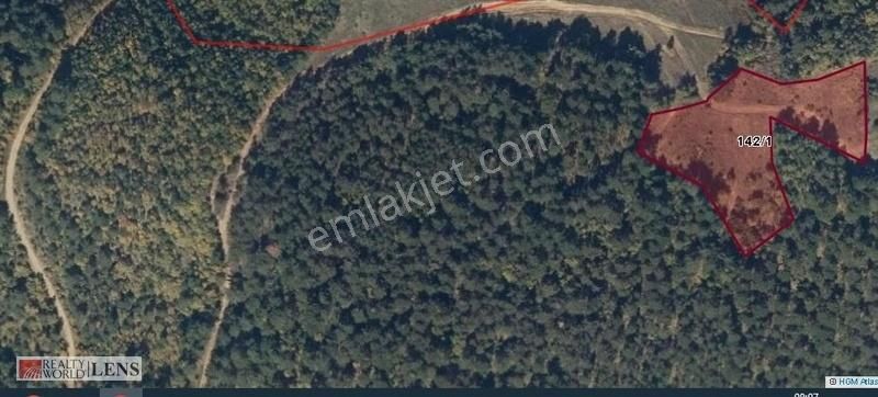 Sakarya Sütalanda 5.373 M2 Tarla Daha Uygunu Yok - Görsel 23