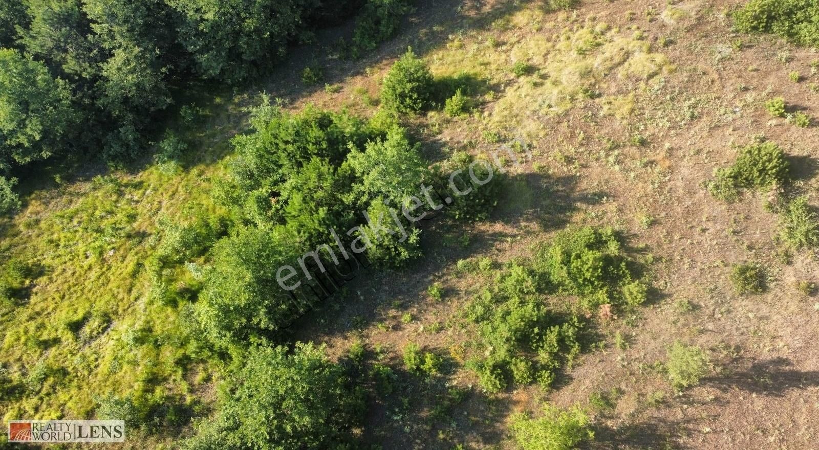 Sakarya Sütalanda 5.373 M2 Tarla Daha Uygunu Yok - Görsel 24