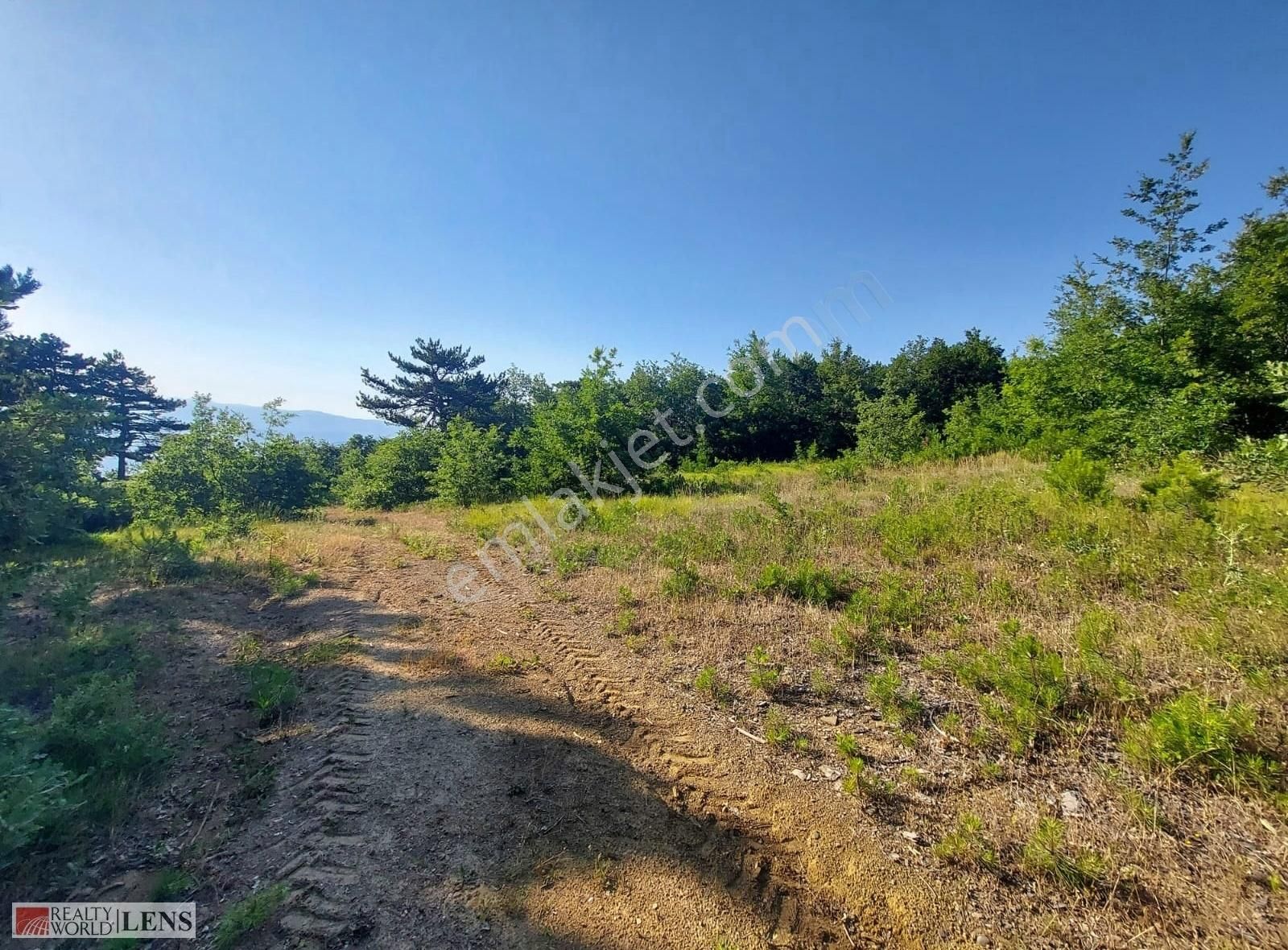 Sakarya Sütalanda 5.373 M2 Tarla Daha Uygunu Yok