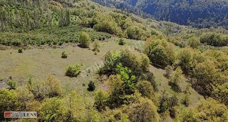 Doğanın İçinde 4.756 M2 Yerleşime Yakın Yer - Görsel 21