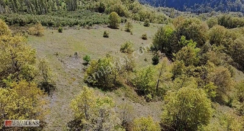 Doğanın İçinde 4.756 M2 Yerleşime Yakın Yer - Görsel 17