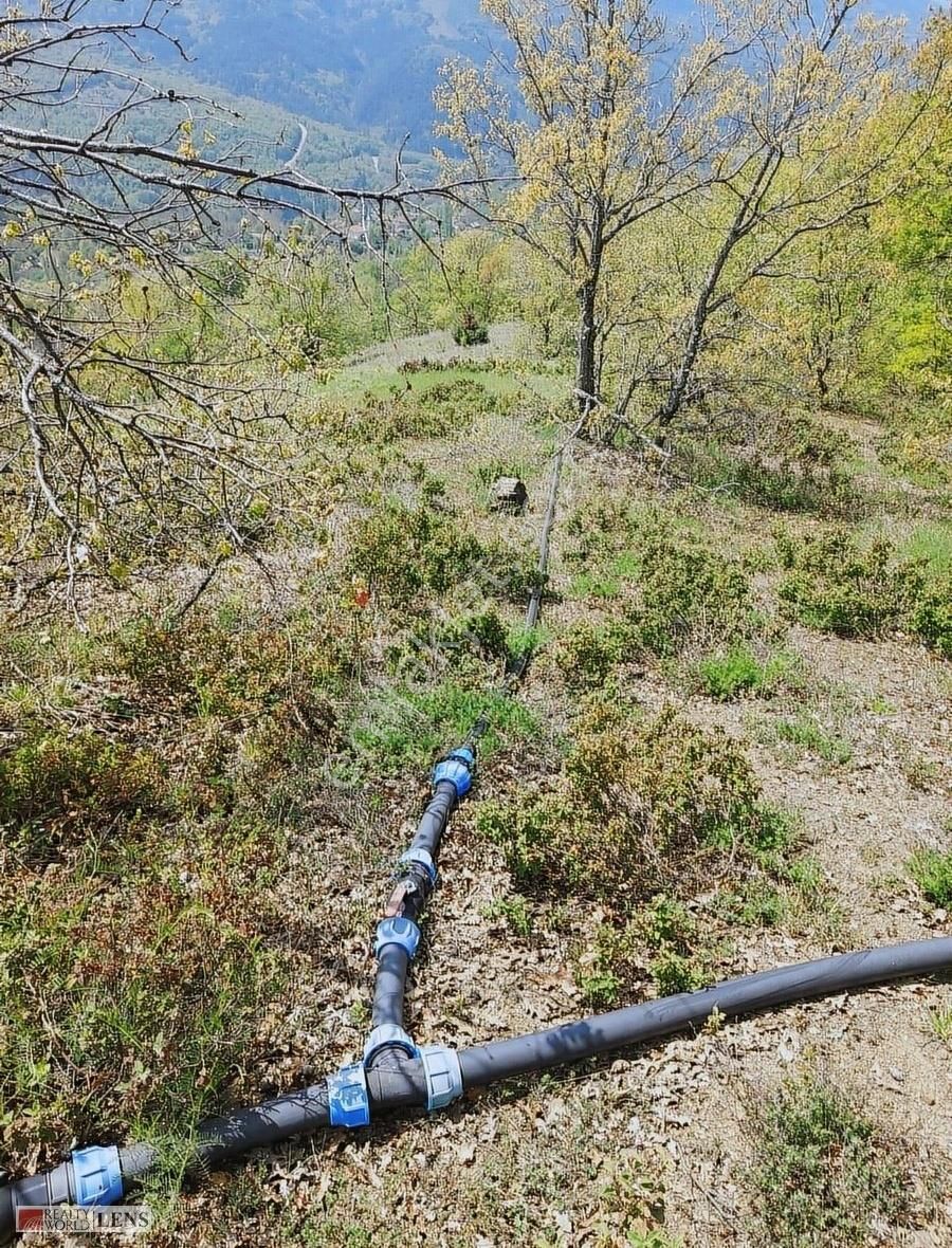 Doğanın İçinde 4.756 M2 Yerleşime Yakın Yer - Görsel 20