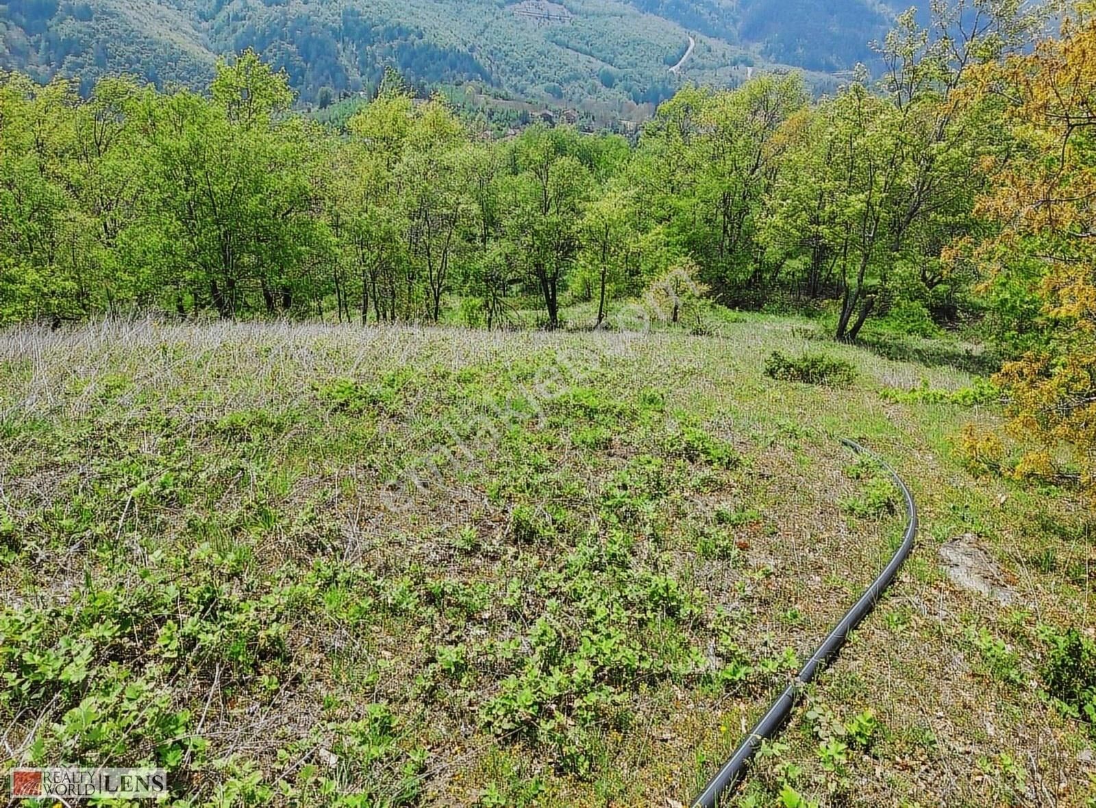 Doğanın İçinde 4.756 M2 Yerleşime Yakın Yer