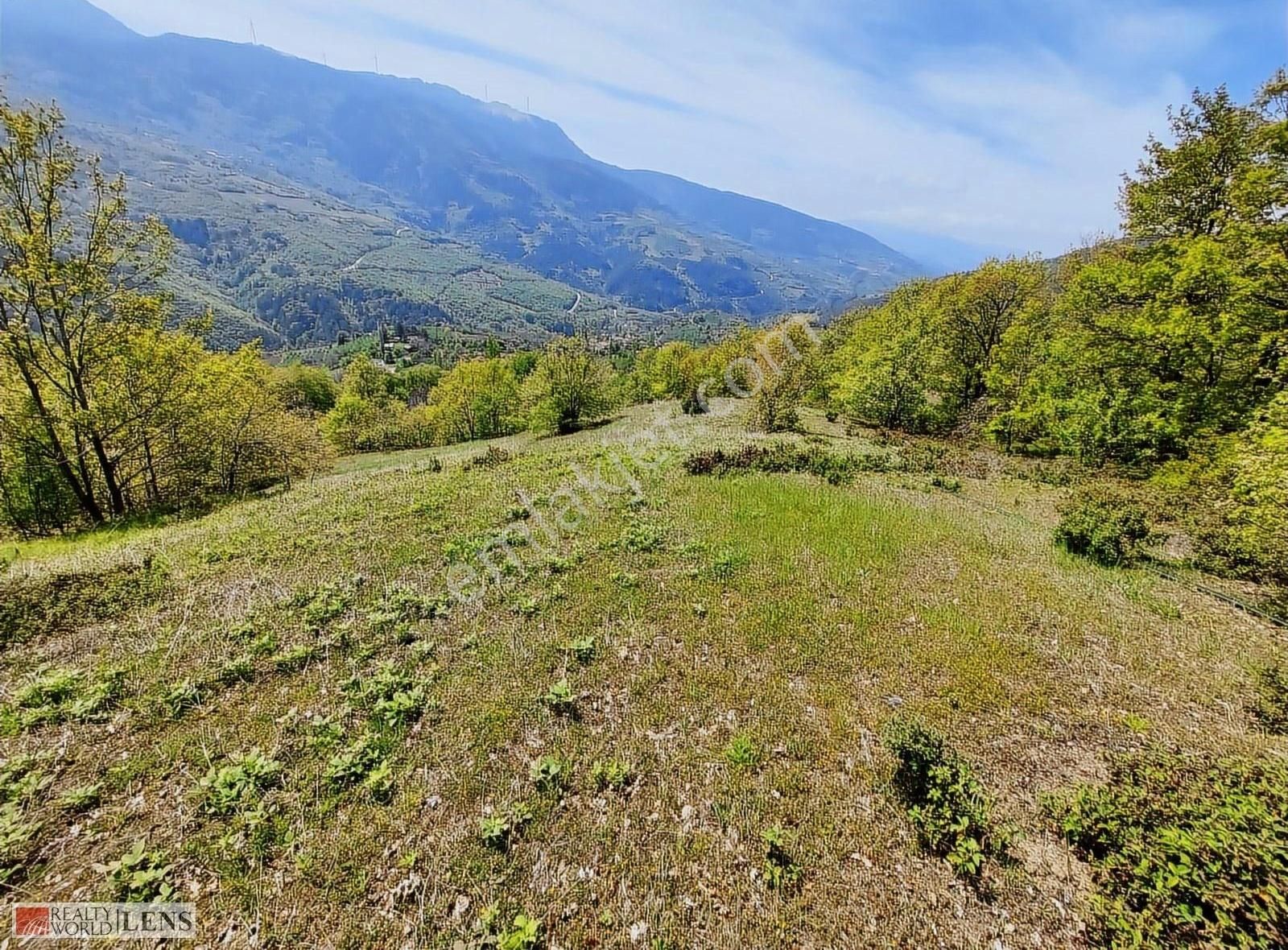 Doğanın İçinde 4.756 M2 Yerleşime Yakın Yer - Görsel 10