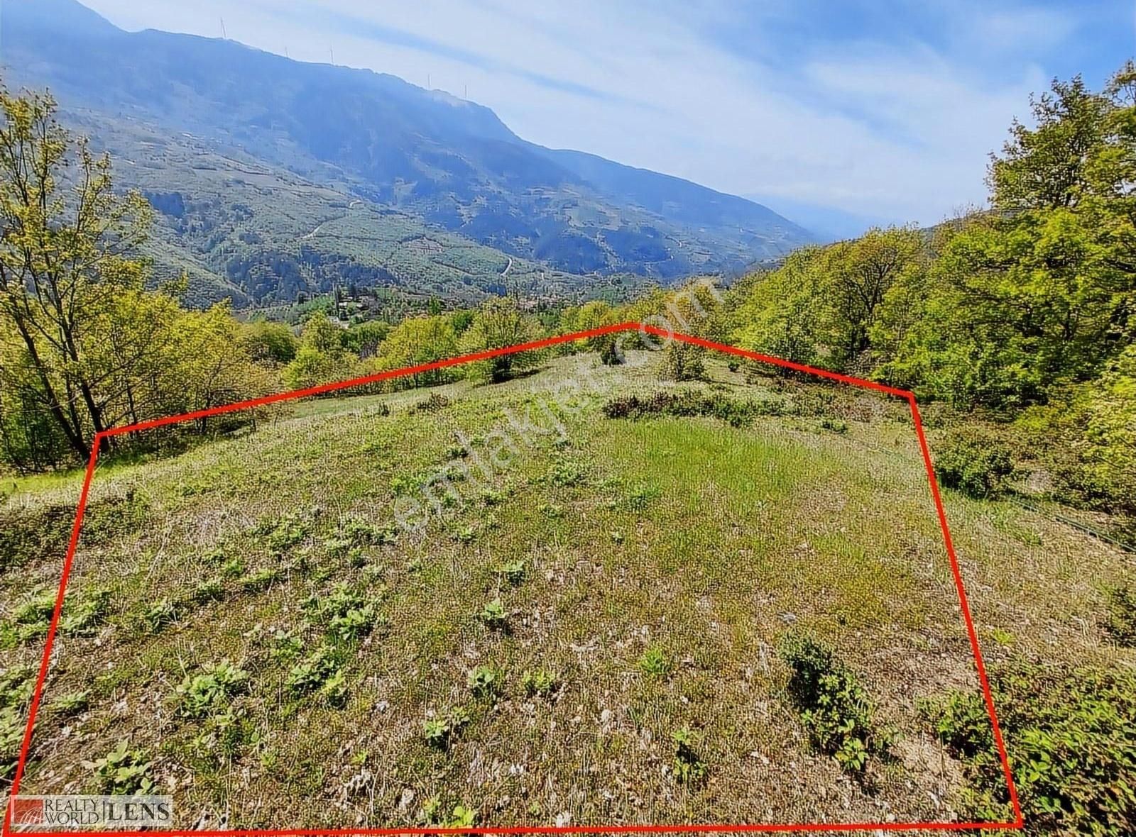 Doğanın İçinde 4.756 M2 Yerleşime Yakın Yer - Görsel 8