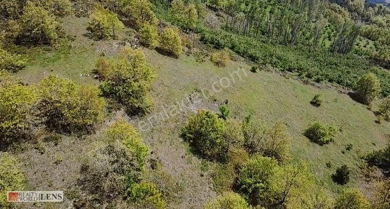 Doğanın İçinde 4.756 M2 Yerleşime Yakın Yer - Görsel 14