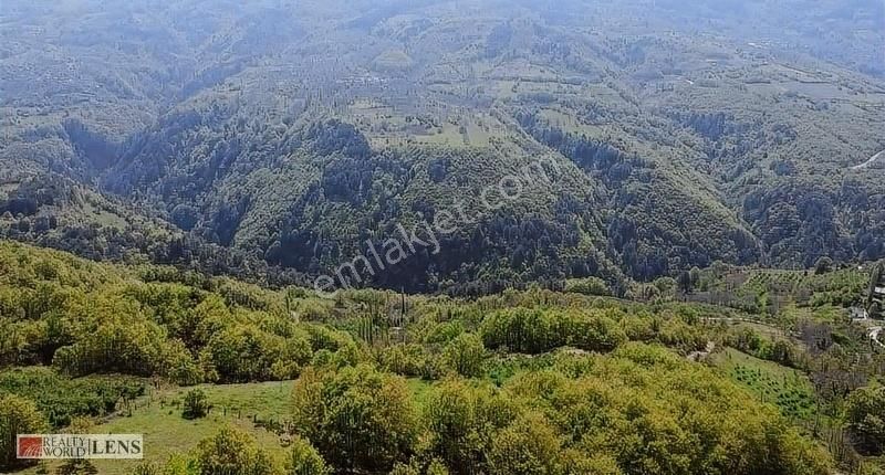 Doğanın İçinde 4.756 M2 Yerleşime Yakın Yer - Görsel 24