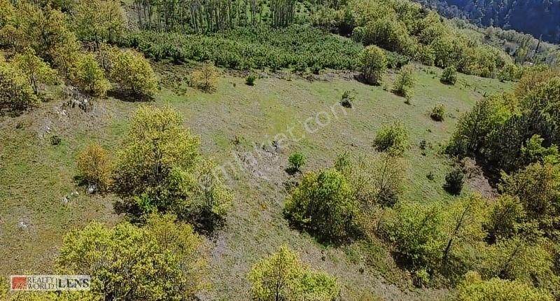 Doğanın İçinde 4.756 M2 Yerleşime Yakın Yer - Görsel 25