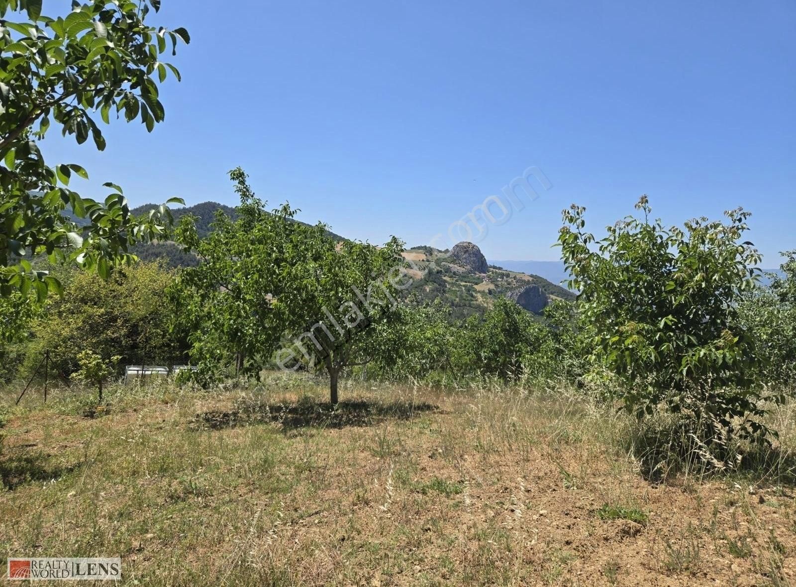 Sakarya Geyve Panoromik Manzaralı İmarlı 5.5dönüm Ceviz Bahçesi! - Görsel 6