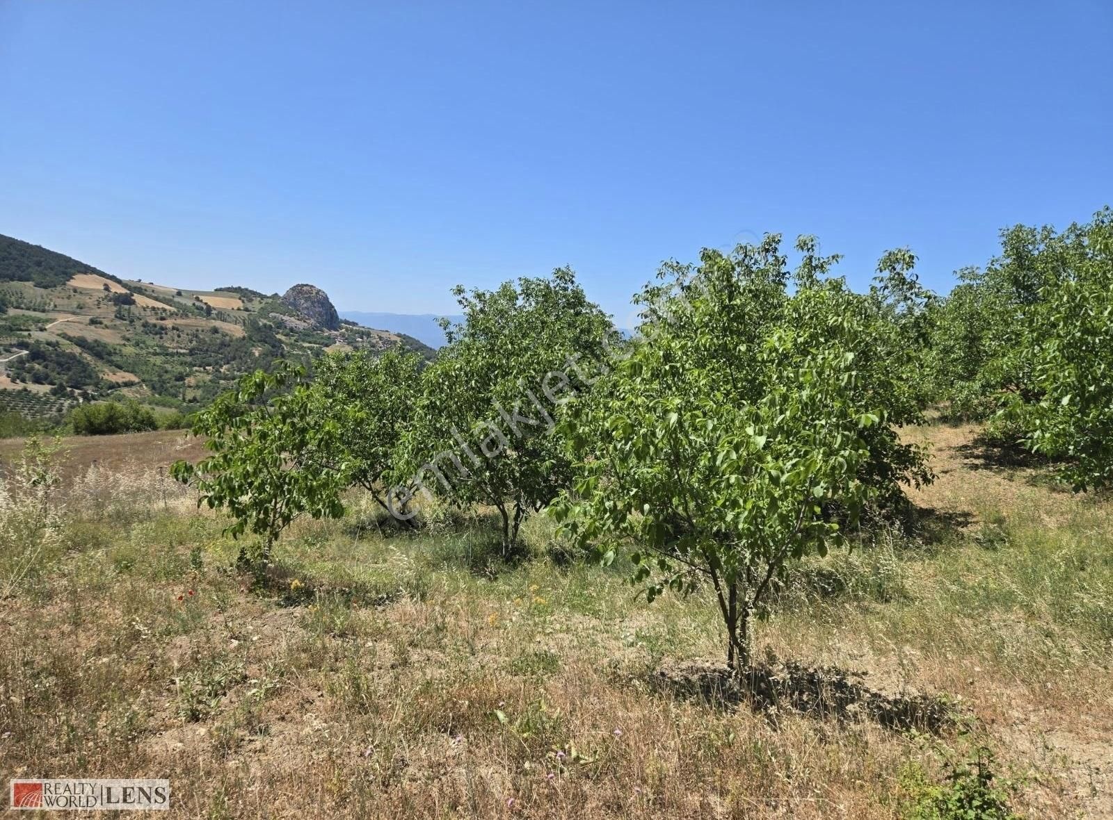 Sakarya Geyve Panoromik Manzaralı İmarlı 5.5dönüm Ceviz Bahçesi! - Görsel 32