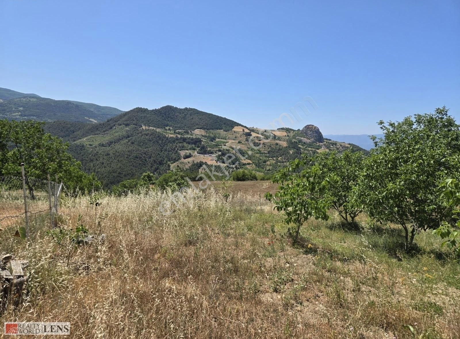 Sakarya Geyve Panoromik Manzaralı İmarlı 5.5dönüm Ceviz Bahçesi! - Görsel 15