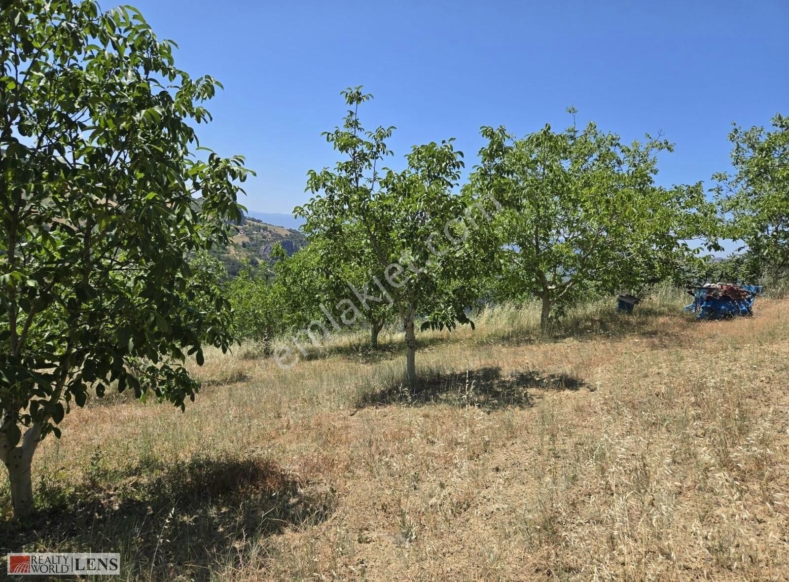 Sakarya Geyve Panoromik Manzaralı İmarlı 5.5dönüm Ceviz Bahçesi! - Görsel 17