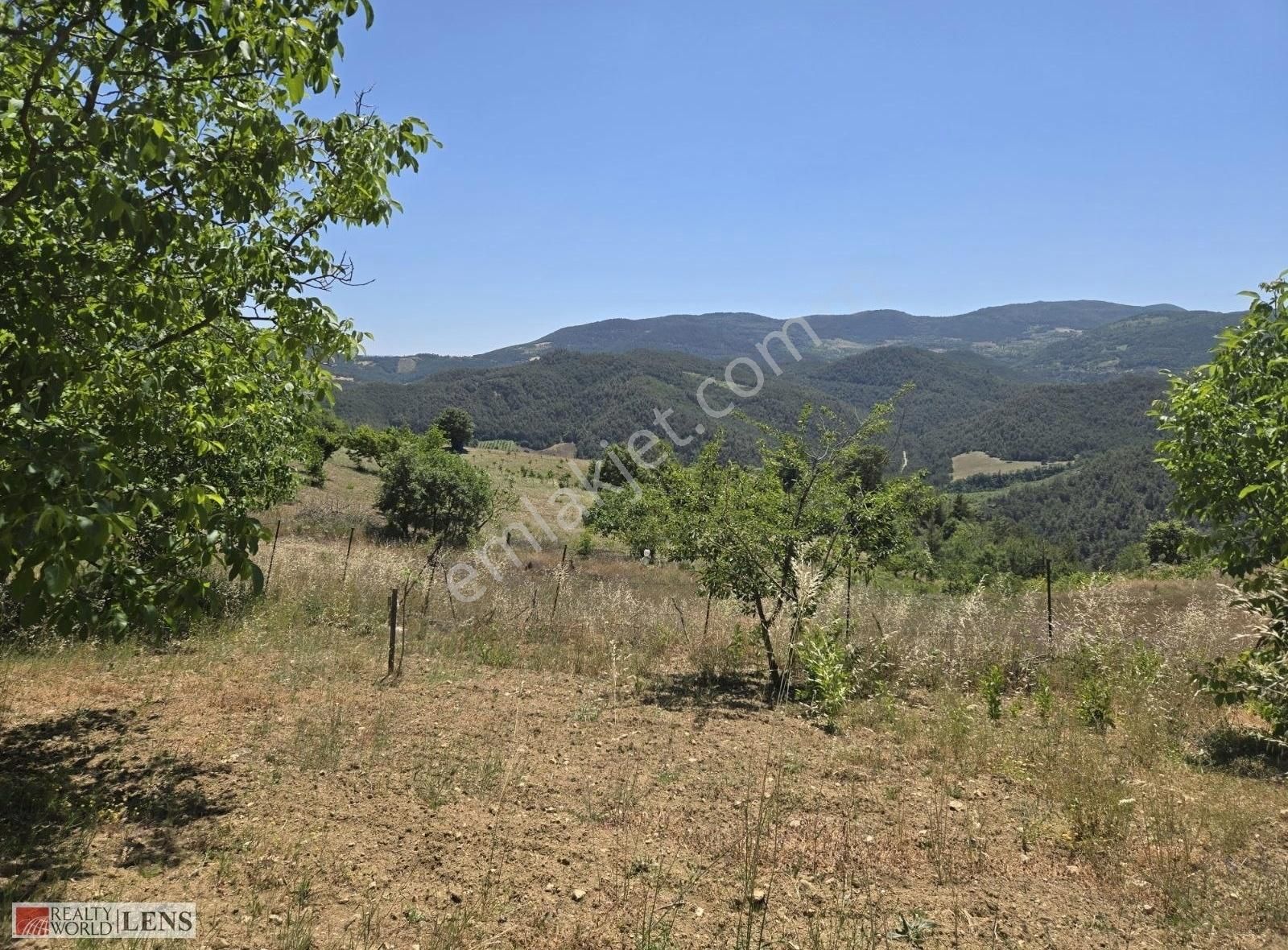 Sakarya Geyve Panoromik Manzaralı İmarlı 5.5dönüm Ceviz Bahçesi! - Görsel 24