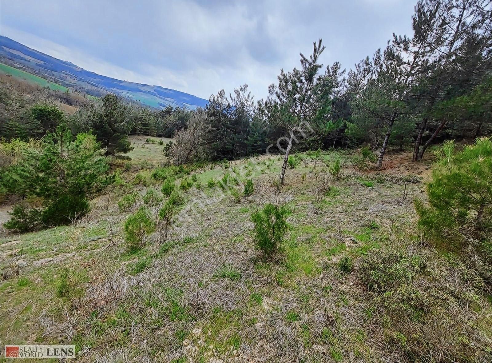 Sakarya Geyvede 1.245 M2 Müstakil Bahçe - Görsel 17