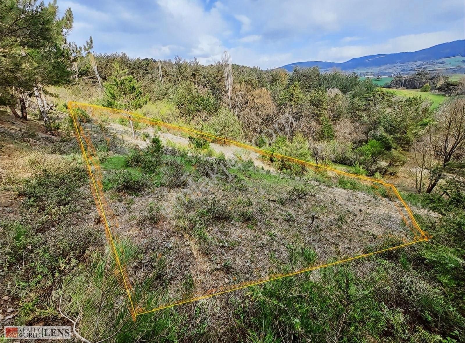 Sakarya Geyvede 1.245 M2 Müstakil Bahçe - Görsel 10