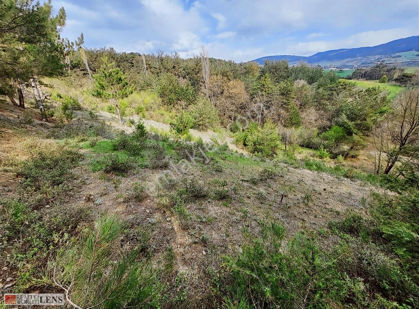 Sakarya Geyvede 1.245 M2 Müstakil Bahçe - Görsel 14