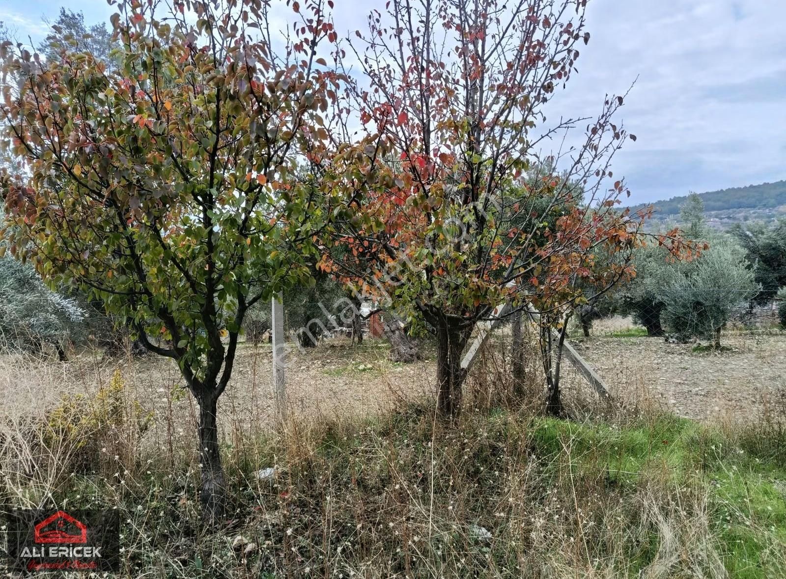 Ulucak Da Müstakil Parsel - Görsel 6