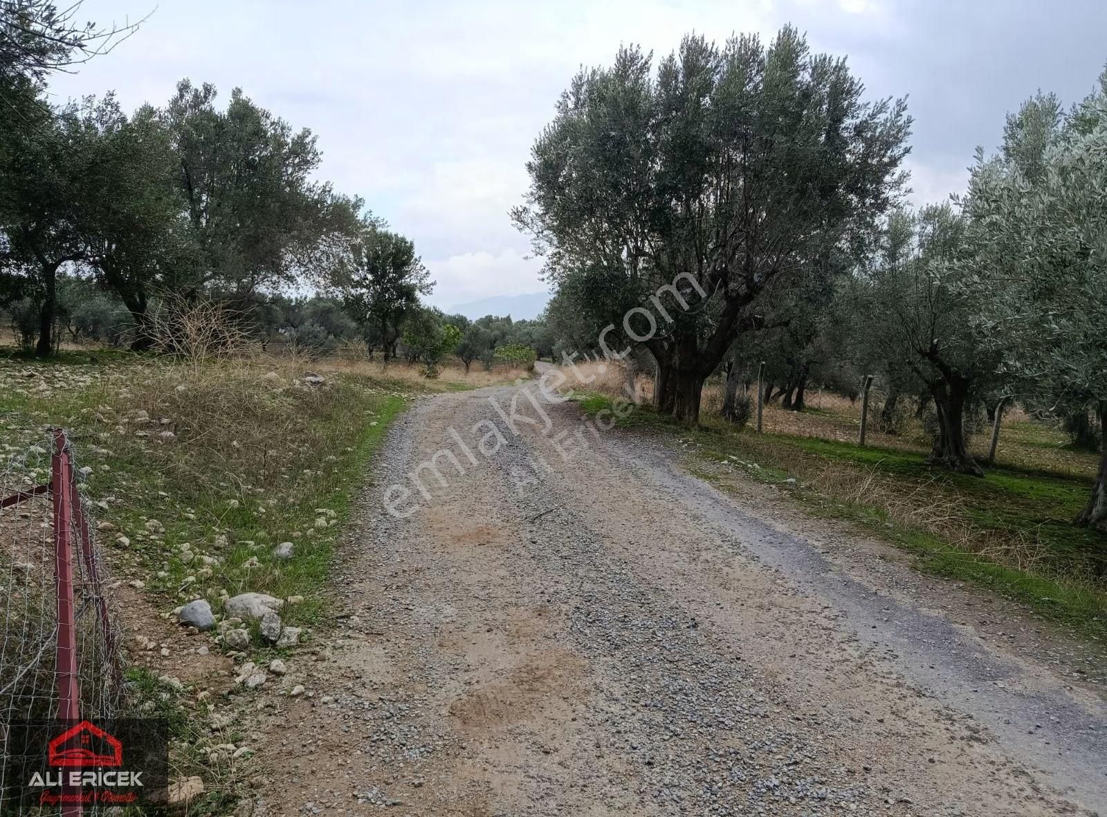 Ulucak Da Müstakil Parsel - Görsel 2