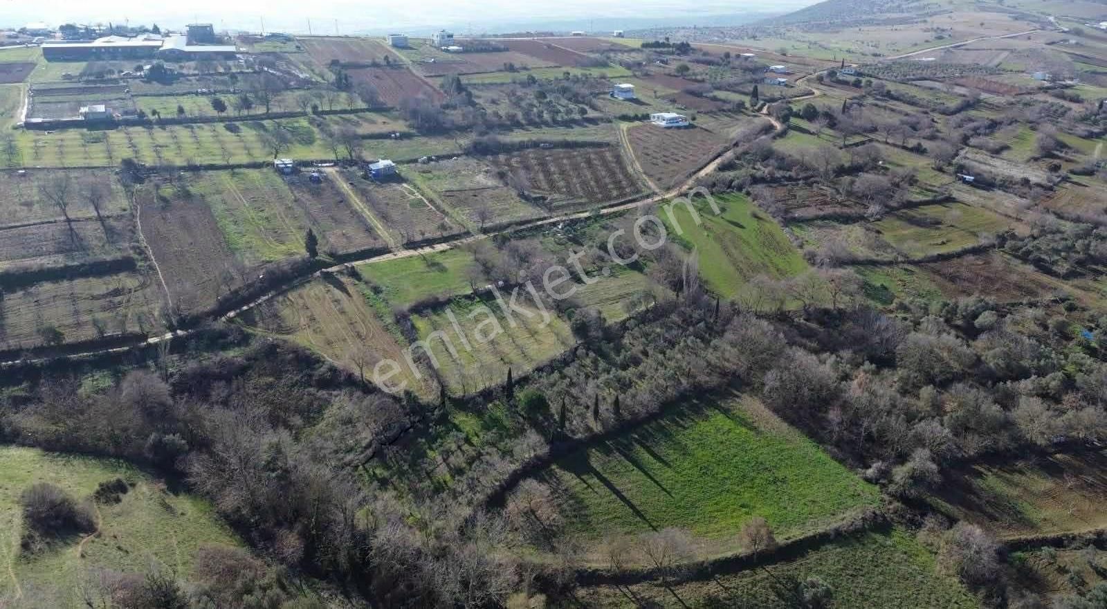 Köyyanı Tek Tapu Tarla - Görsel 10