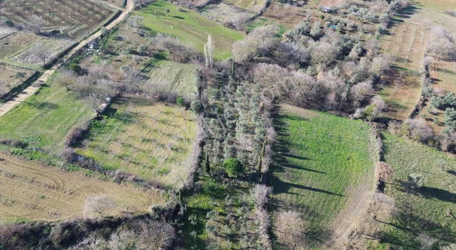 Köyyanı Tek Tapu Tarla - Görsel 8