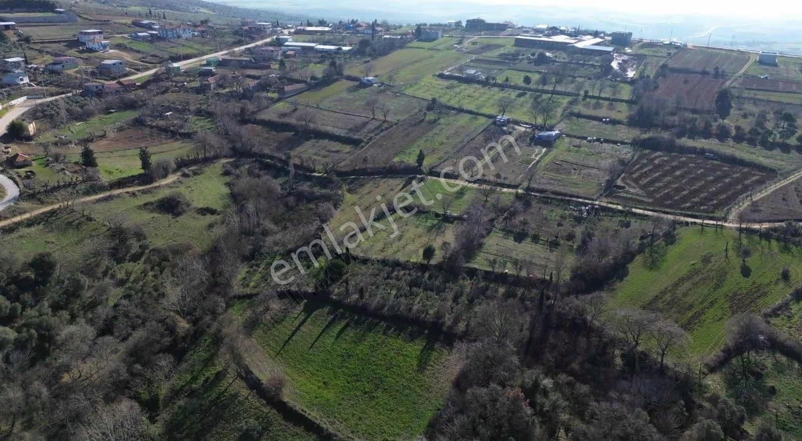 Köyyanı Tek Tapu Tarla - Görsel 7