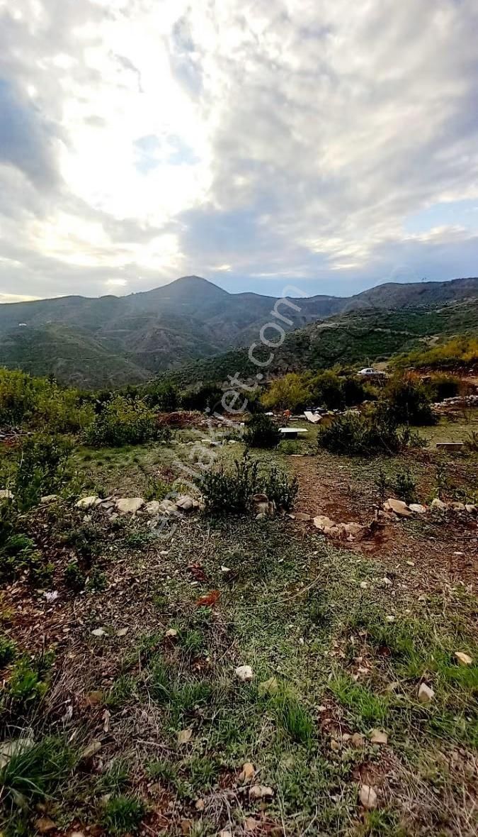 Tilkilerde Satılık Tek Tapu Tarla Kadastro Yola Sıfır - Görsel 8