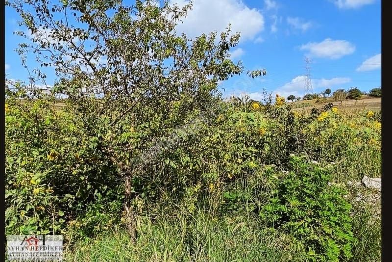 Adapazarı Salmanlıda Asvalt Yola Cepheli 1.377m2 Tarla - Görsel 13