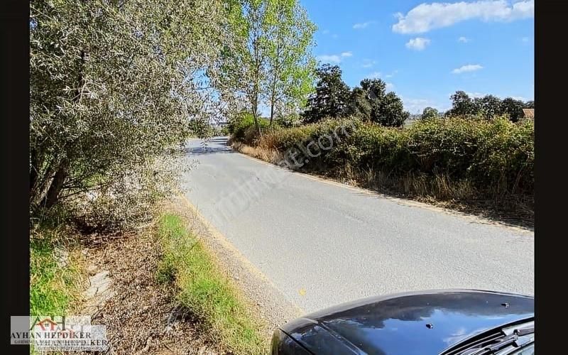 Adapazarı Salmanlıda Asvalt Yola Cepheli 1.377m2 Tarla - Görsel 10