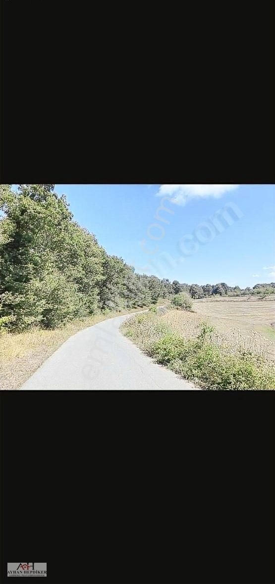 Adapazarı Kayrancıkda Yola Bir Parsel 2018 M2 Şekili Tarla - Görsel 8