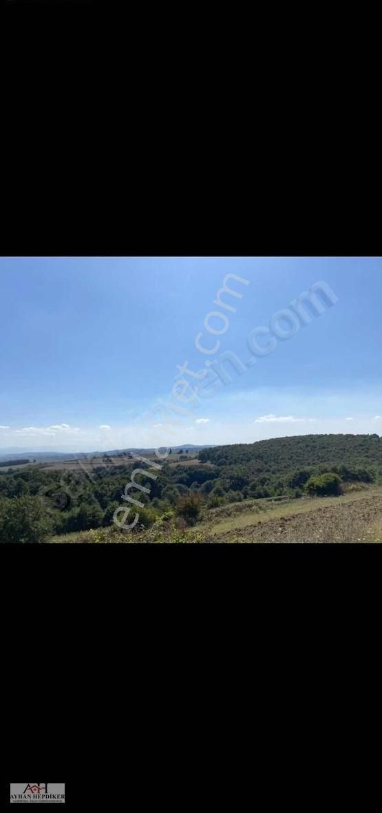 Adapazarı Kayrancıkda Yola Bir Parsel 2018 M2 Şekili Tarla - Görsel 7