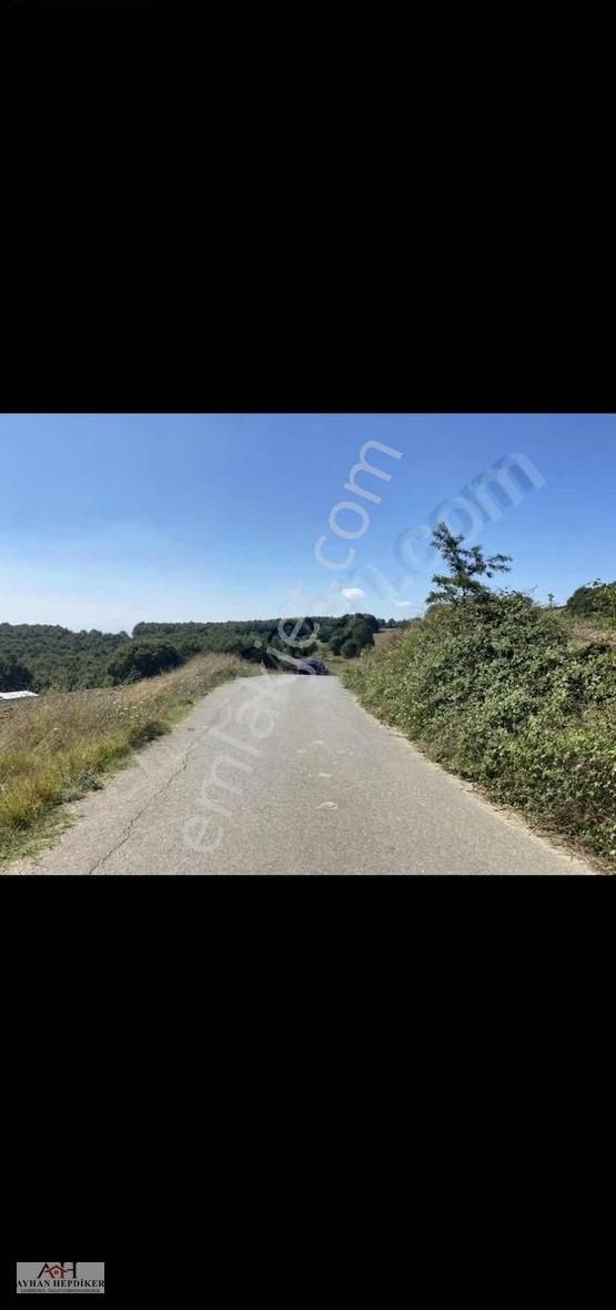 Adapazarı Kayrancıkda Yola Bir Parsel 2018 M2 Şekili Tarla - Görsel 3