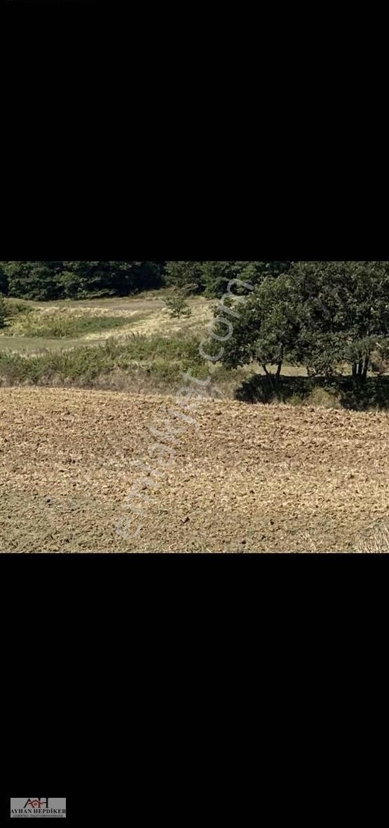 Adapazarı Kayrancıkda Yola Bir Parsel 2018 M2 Şekili Tarla - Görsel 12