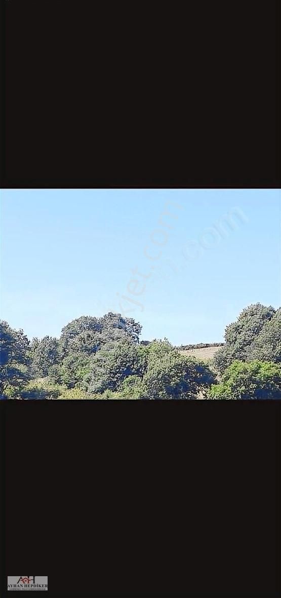 Adapazarı Kayrancıkda Yola Bir Parsel 2018 M2 Şekili Tarla - Görsel 4