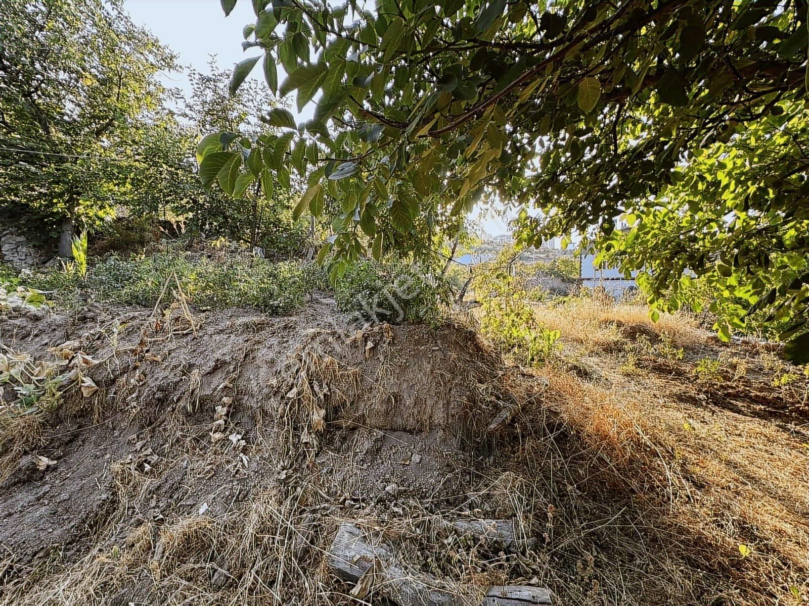 Sözmax Söz Talas Endürlükte Doğa Manzaralı Evli Bağ Satılık - Görsel 32