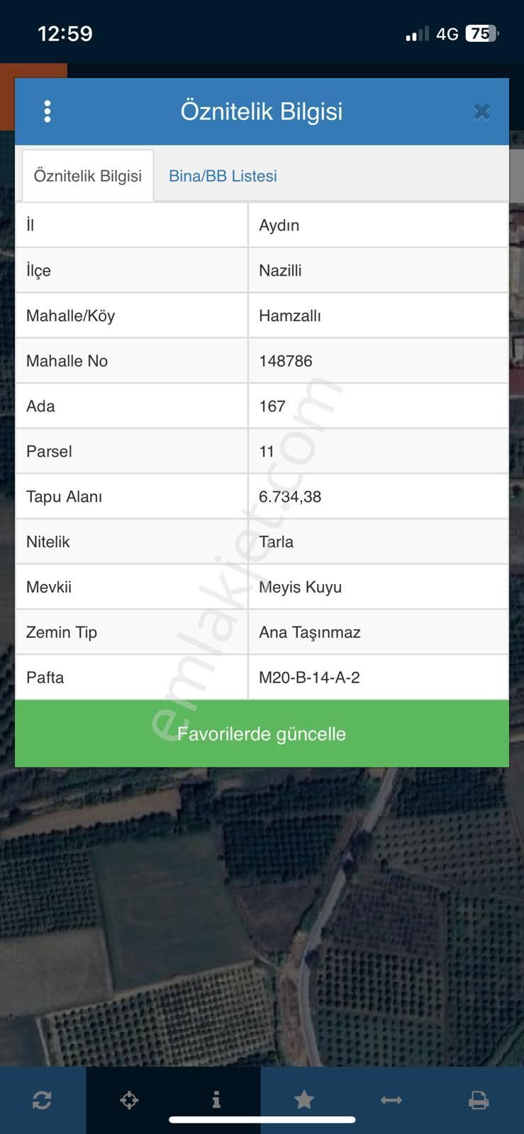 Nazilli Hamzallı Mah. Satılık Portakal Bahçesi - Görsel 3