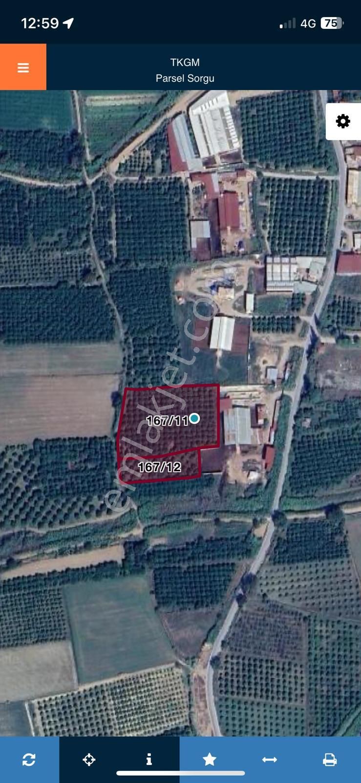 Nazilli Hamzallı Mah. Satılık Portakal Bahçesi - Görsel 2