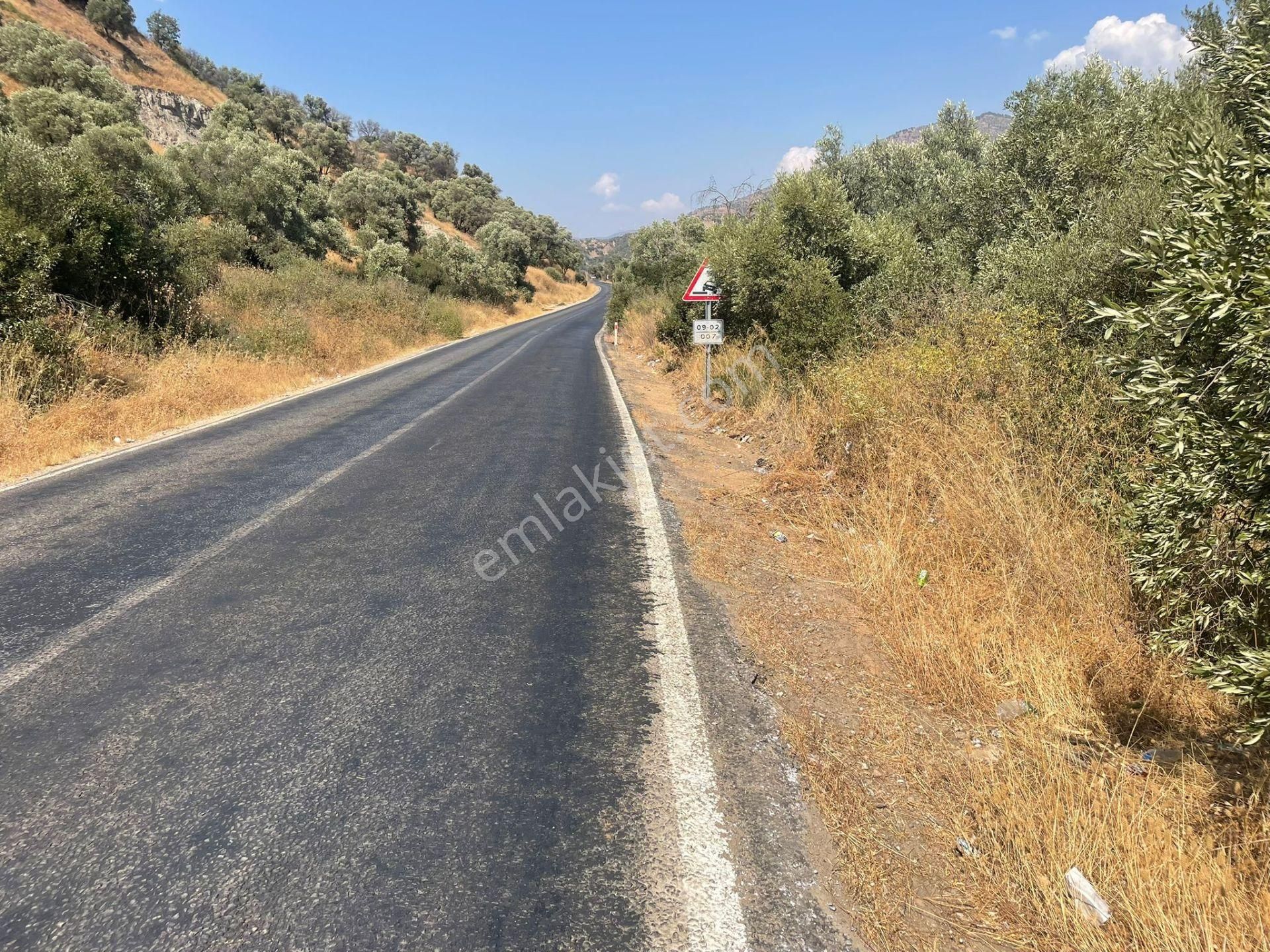 Nazilli Kardeşköy Mahallesi Satılık Tarla - Görsel 4