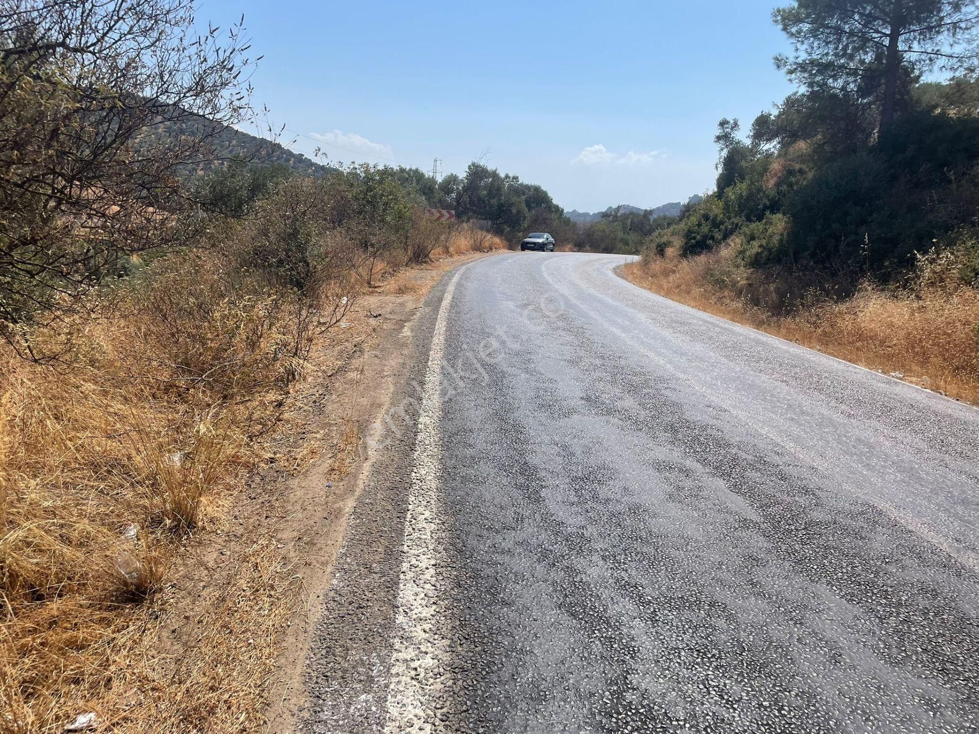 Nazilli Kardeşköy Mahallesi Satılık Tarla - Görsel 3