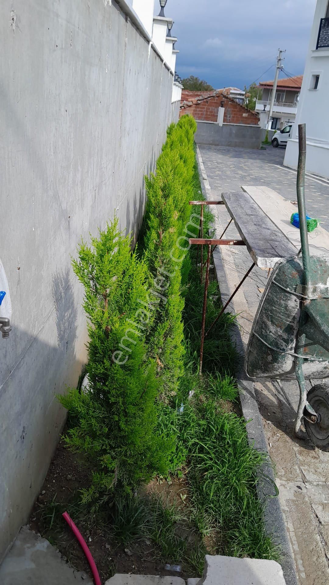 Balıkesir Burhaniye Börezli Mahallesinde Satılık Malikane - Görsel 17