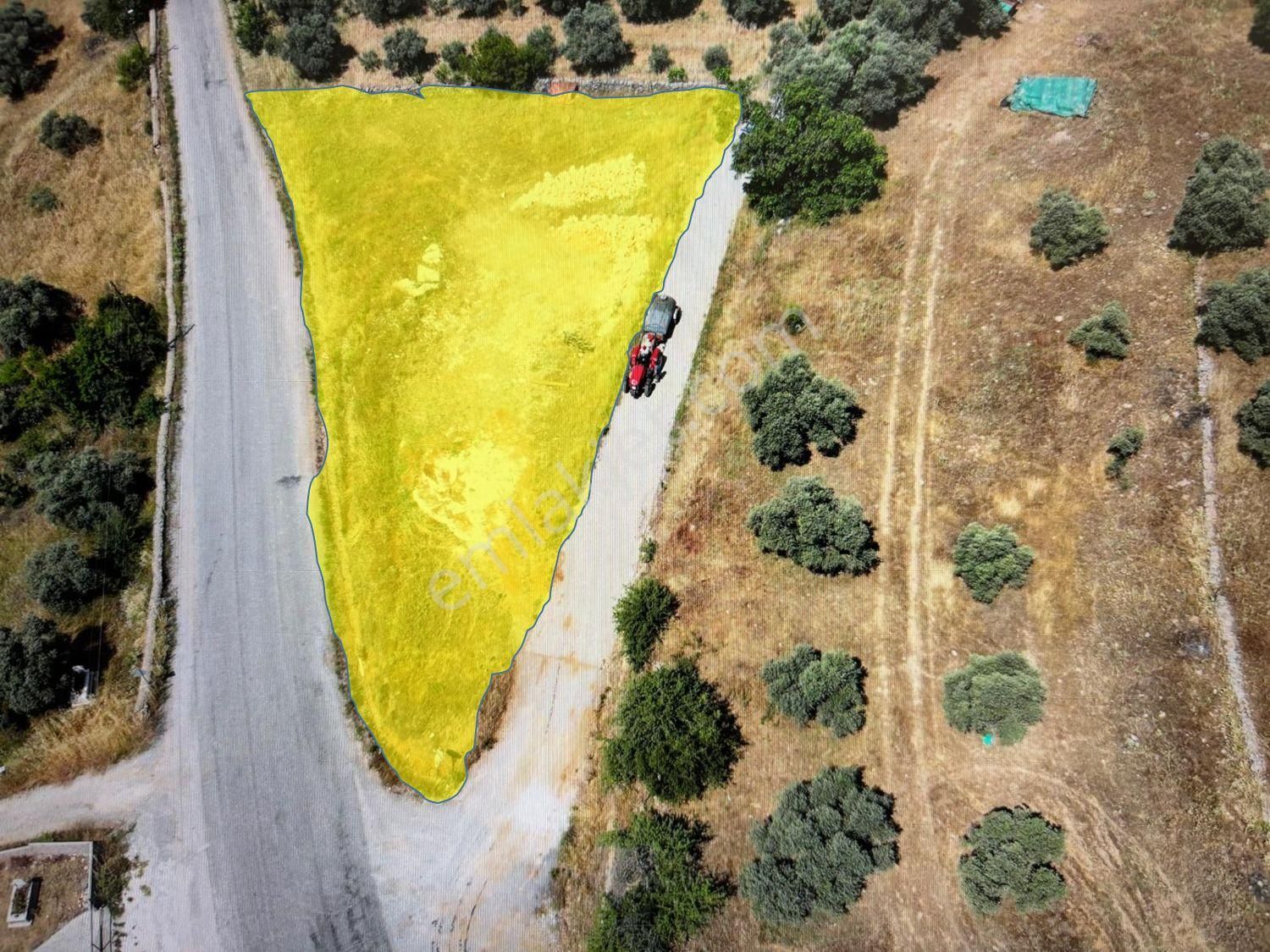 Yatağan Yayla Mahallesi'nde Yola Cepheli Satılık Tarla - Görsel 5